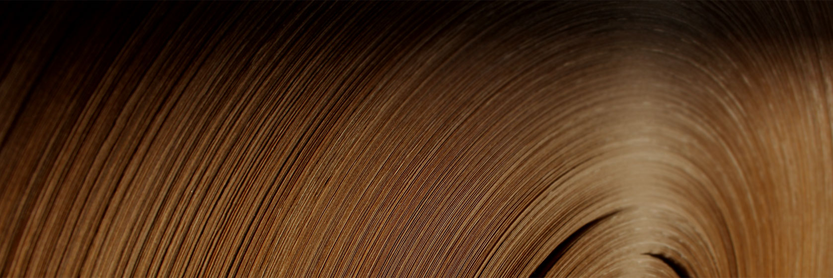 recuperation_de_papiers-8