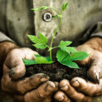 conservation_environnement